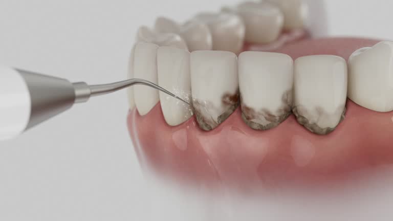 Reliable Dental contractor in Mountainair, NM by Dentist Open Now